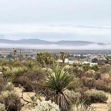 Cozy Desert Retreat With Amazing Views Only 4 Miles To Jtnp 约书亚树 外观 照片