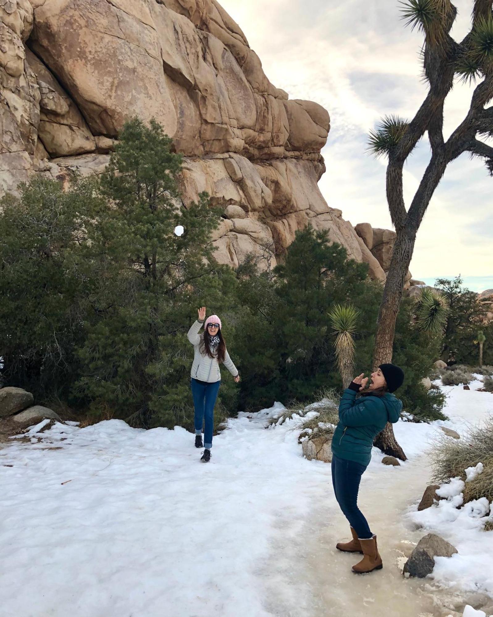 Cozy Desert Retreat With Amazing Views Only 4 Miles To Jtnp 约书亚树 外观 照片