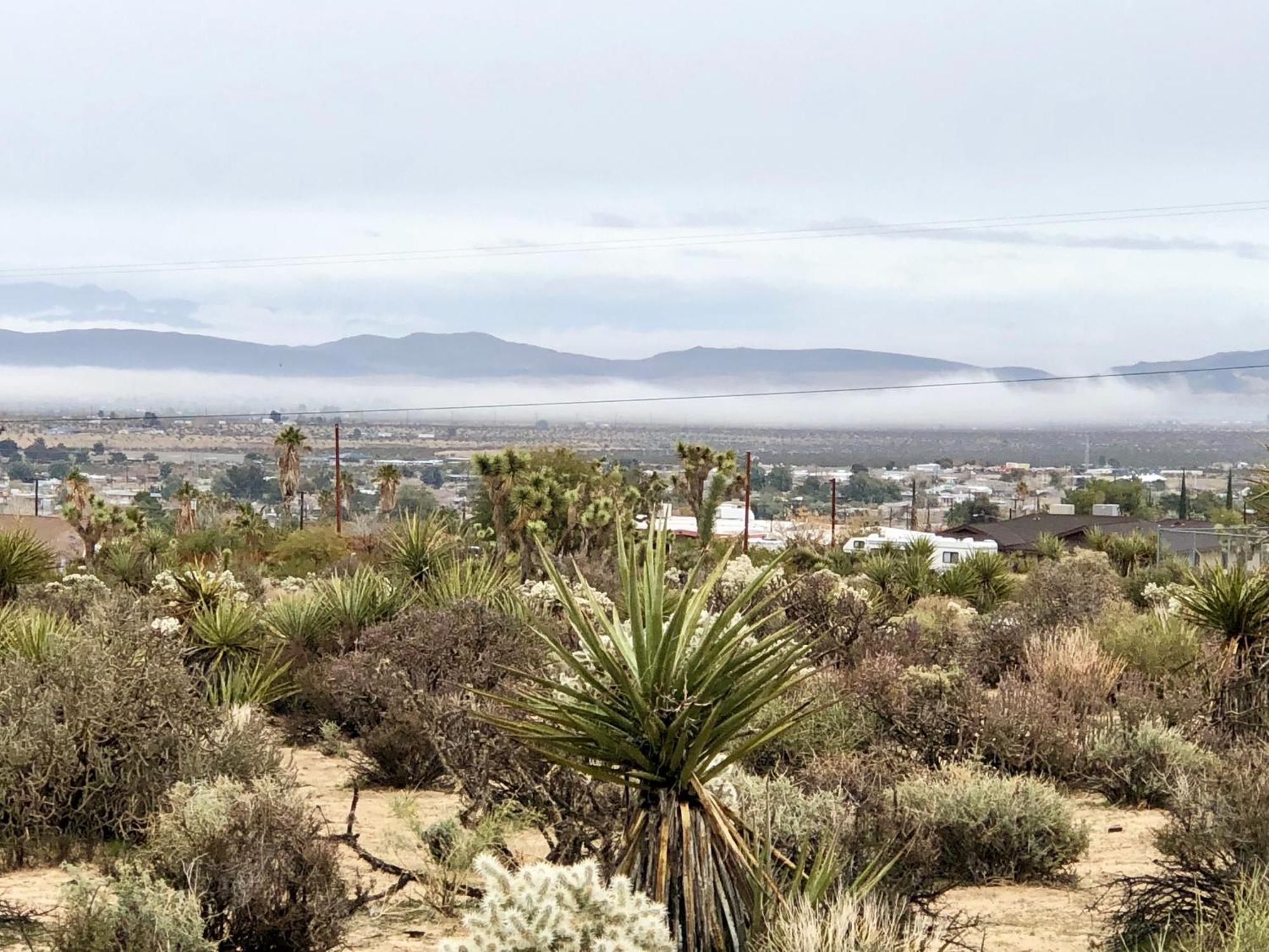 Cozy Desert Retreat With Amazing Views Only 4 Miles To Jtnp 约书亚树 外观 照片