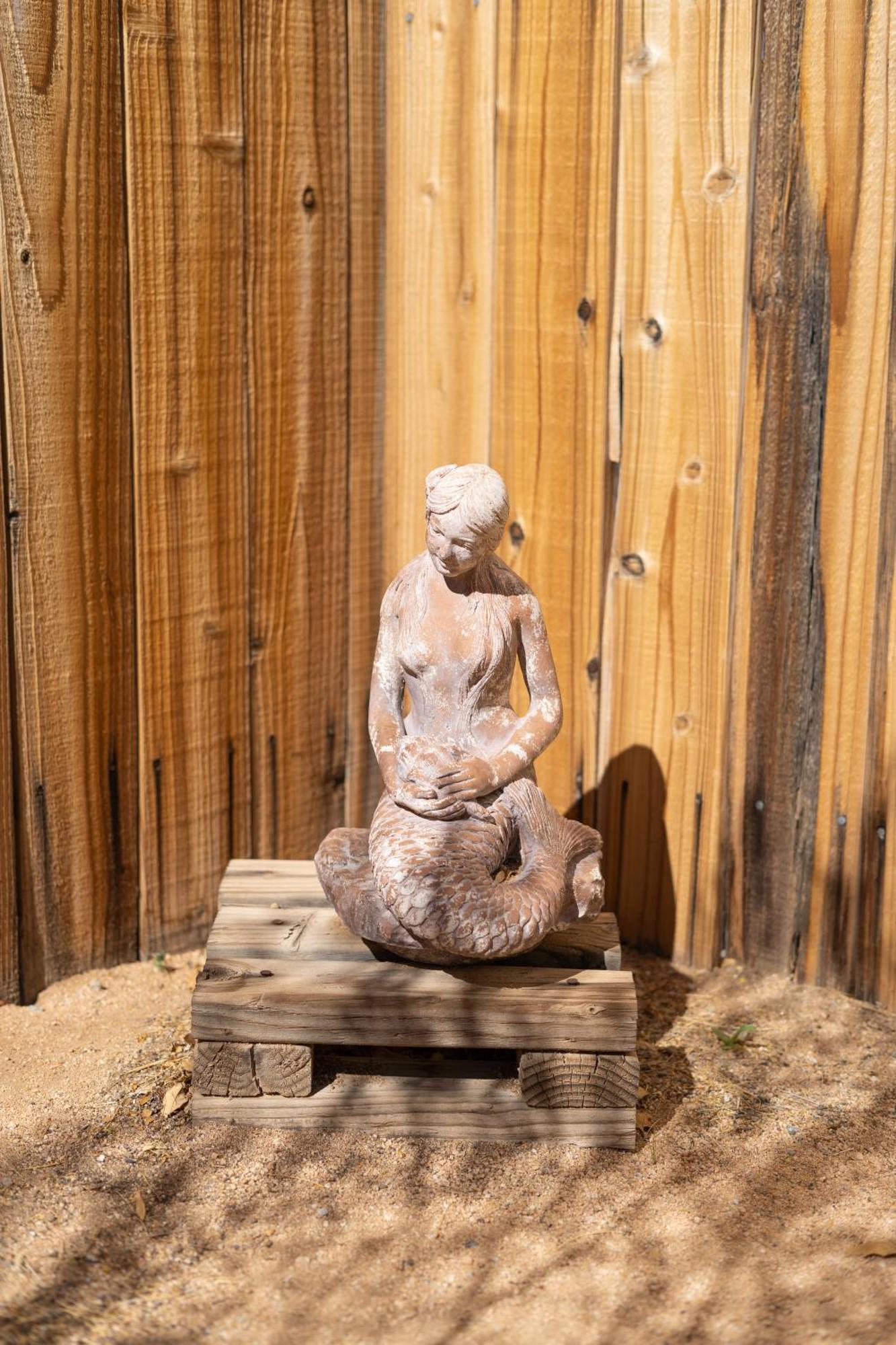 Cozy Desert Retreat With Amazing Views Only 4 Miles To Jtnp 约书亚树 外观 照片